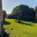LAWN
